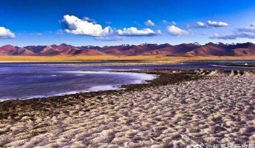 赞美掌声的句子