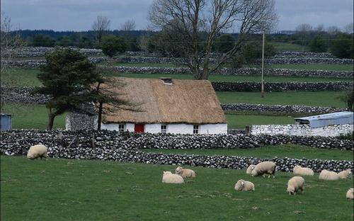 我快乐地生活在一个句子