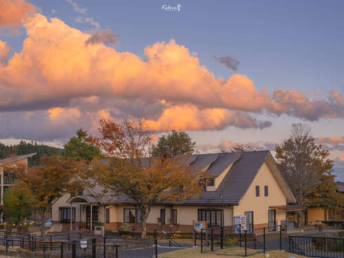 悔恨年轻却不勇敢的句子2