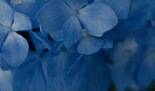 形容周末很开心的句子