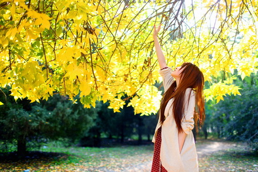 生活中幸福的句子