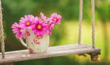 劝人家开心的句子