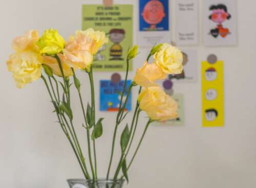 向最爱的人致以诚挚的话1