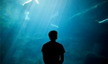 男生希望你开心的句子