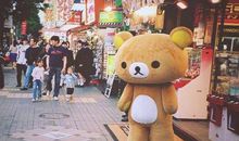 同学相聚后开心的句子