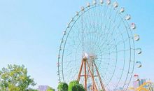 人生开心的句子