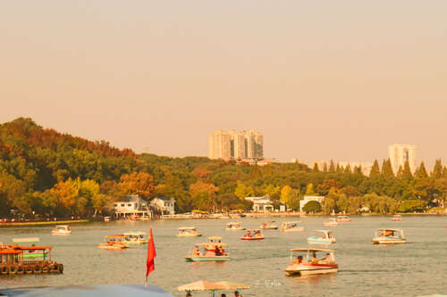 抒情而优美的短句