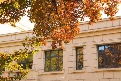 抒情优美的短句1