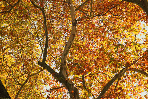 抒情优美的短句2