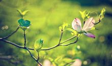 新年放假开心的句子