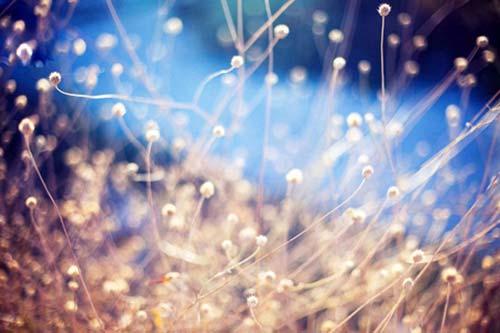 新年快乐假期句子2