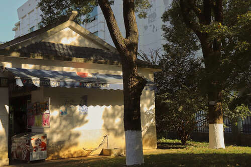 关于感情的诗句