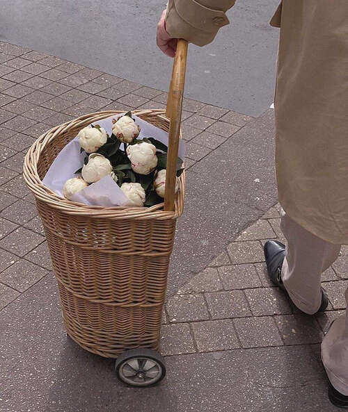 安静的句子位于情感中心2