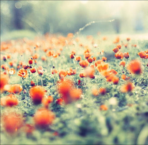 活着快乐的句子2