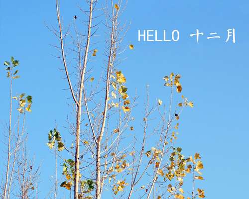 早安报价于12月发送至Moments