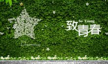 思念青春的句子