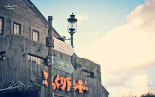 描述快乐游戏的句子