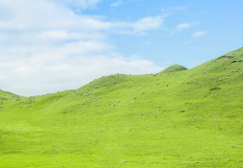 放风筝的孩子的句子