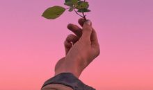 让人醍醐灌顶的句子 触动心灵