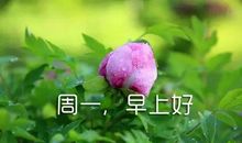 新的一周开始的简短语句