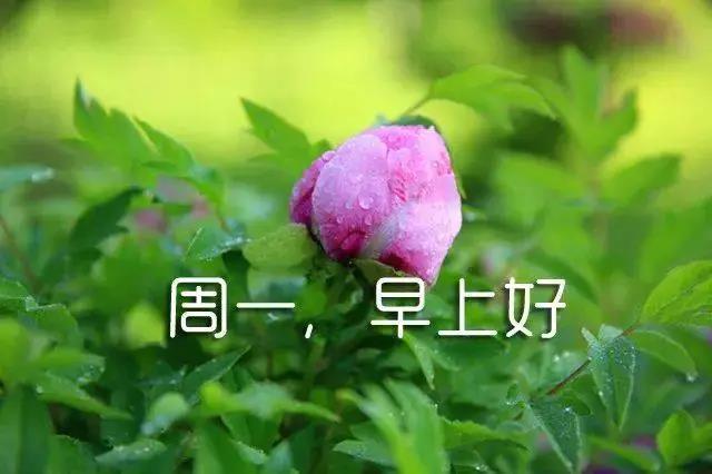 谈论新的一周的开始2