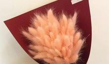 适合周五的心情说说