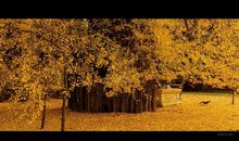 形容小孩子放风筝开心的句子