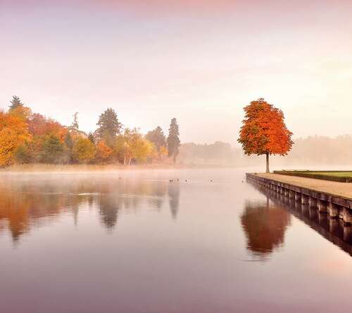 求婚的爱情短语