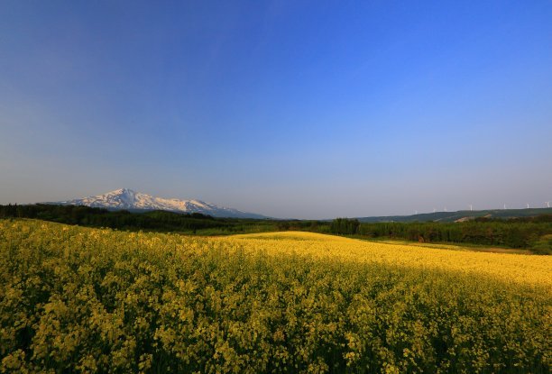 对女孩的甜蜜和温暖的句子2
