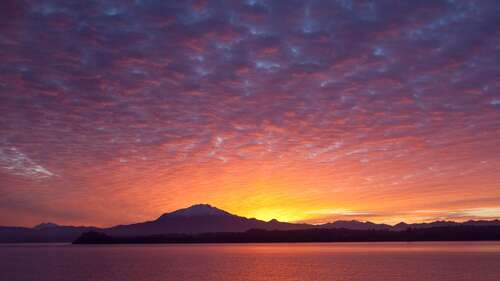 给女友的爱情句子