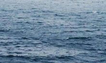 形容对爱情失望和心凉的诗