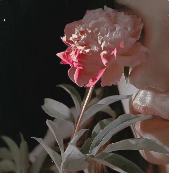 成为第一的感觉