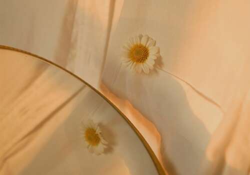 2021年新年贺词短