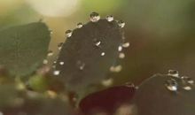 朋友圈有关心情不好的句子