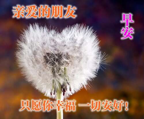 早上好，在朋友圈里发最热烈的话