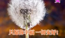 早安发朋友圈最暖心的话语