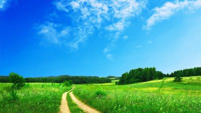 关于爱情的美丽句子1