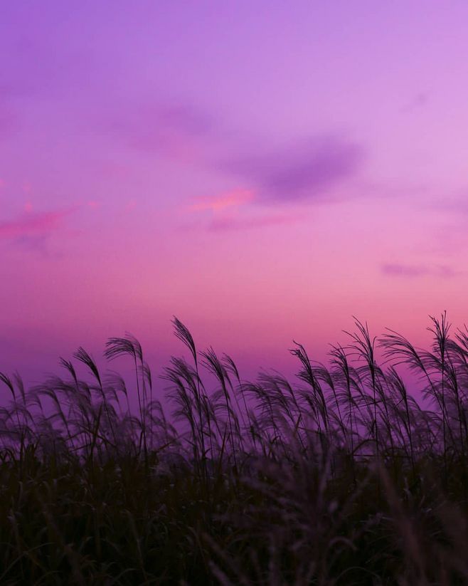 形容爱情的句子很美2