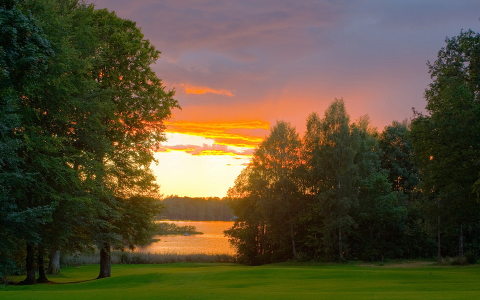 形容爱情的句子很美1