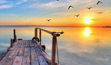 形容爱很美好的句子