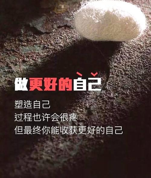 4个单词励志词简短而霸气