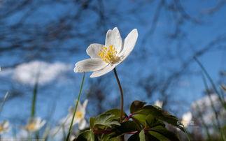 形容一个女人快乐和幸福的句子2