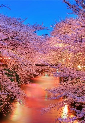 令你开心的句子