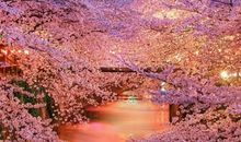 他能让你开心的句子