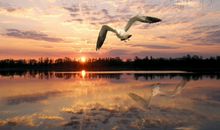 生活感触的句子