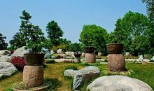 祝福退休老师的最佳名言