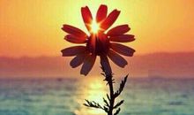 令人搞笑的开心句子