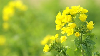 豆豆2让人开心的句子