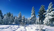 立冬节气的谚语句子