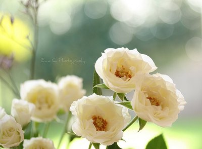 感到无助的句子2